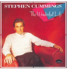 Stephen Cummings - This Wonderful Life