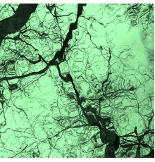 Stephen David Ineson featuring Anthony "Bones" Bonito - Holy Water (The Well Gone Dry)