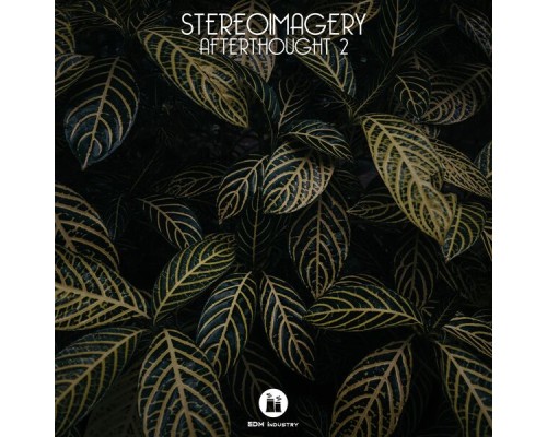 Stereoimagery - Afterthought 2