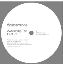 Steve Bicknell - Awakening the Past