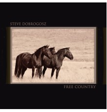 Steve Dobrogosz - Free Country