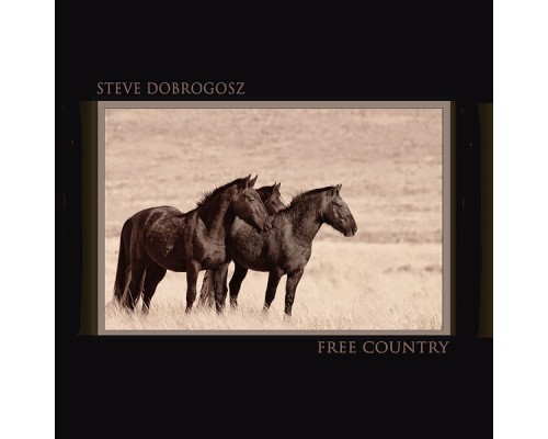 Steve Dobrogosz - Free Country