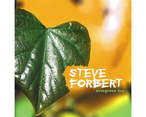 Steve Forbert - Evergreen Boy