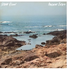 Steve Gunn - Ancient Jules