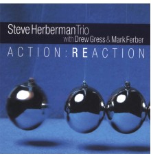 Steve Herberman - Action:Reaction