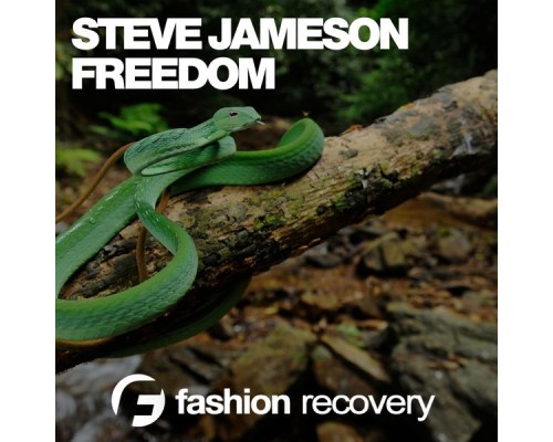 Steve Jameson - Freedom