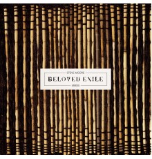 Steve Moore - Beloved Exile