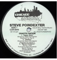 Steve Poindexter - Chaotic Nation