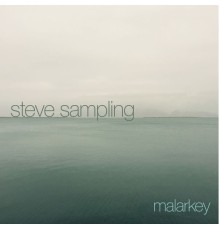 Steve Sampling - Malarkey (Original Mix)