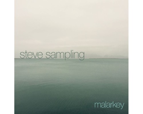 Steve Sampling - Malarkey (Original Mix)