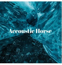 Steve Schneider - Accoustic Horse