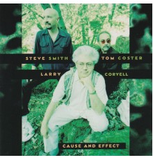 Steve Smith, Tom Coster & Larry Coryell - Cause and Effect