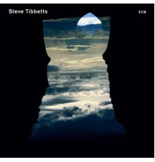 Steve Tibbetts - Natural Causes