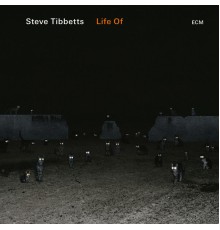 Steve Tibbetts - Life Of