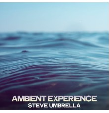 Steve Umbrella - Ambient Experience