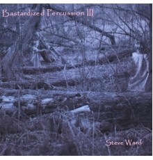 Steve Ward - Bastardized Percussion III