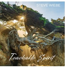 Steve Wiebe - Teachable Spirit