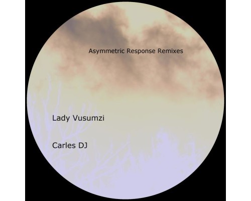 Steven Blair - Asymmetric Response  (Remixes)