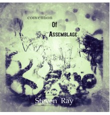 Steven Ray - Convention of Assemblage