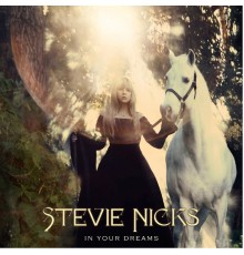 Stevie Nicks - In Your Dreams