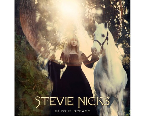 Stevie Nicks - In Your Dreams