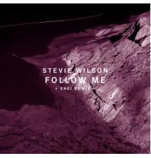 Stevie Wilson - Follow Me