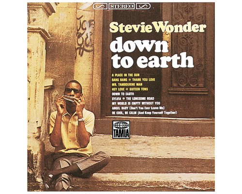 Stevie Wonder - Down To Earth