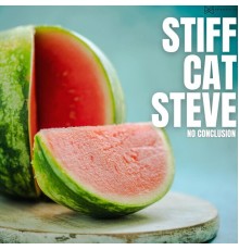 Stiff Cat Steve - No Conclusion