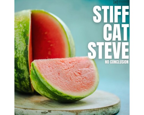 Stiff Cat Steve - No Conclusion