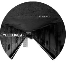 Stingrays - Relocked_10 (Original Mix)