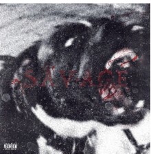 Strada - Savage