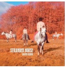 Stranded Horse - Grand Rodeo