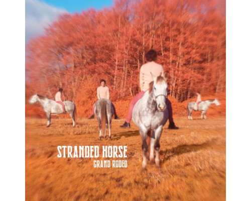 Stranded Horse - Grand Rodeo