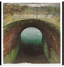 Strange Days - Strange Days