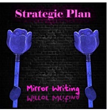 Strategic Plan - Mirror Writing