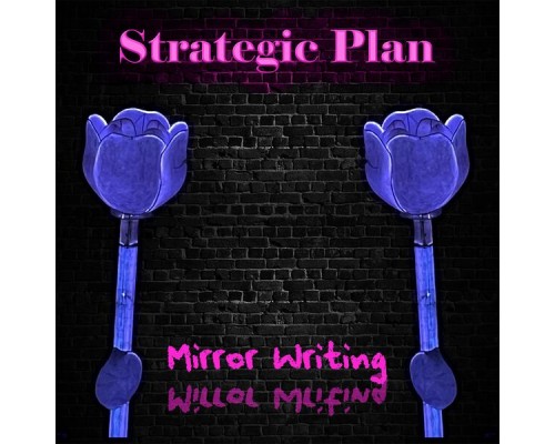 Strategic Plan - Mirror Writing