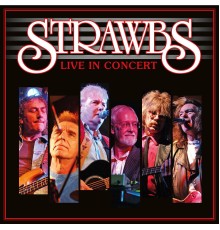 Strawbs - Live in Concert