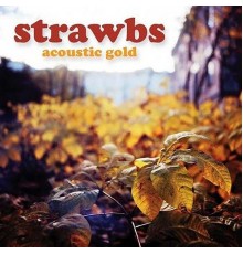 Strawbs - Acoustic Gold