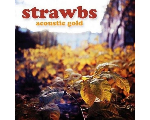 Strawbs - Acoustic Gold