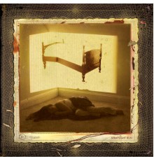 Straylight Run - Straylight Run