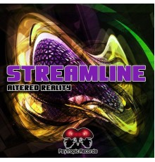 Streamline - Altered Reality