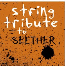 String Tribute Players - String Tribute to Seether