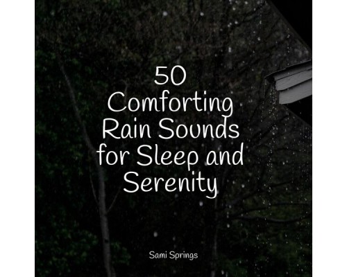 Study Music, Sleep Meditation Dream Catcher, The Relaxing Sounds of Swedish Nature - 50 Loopable Rain Sounds for Deep Sleep