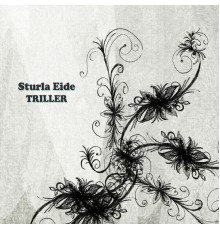 Sturla Eide - Triller