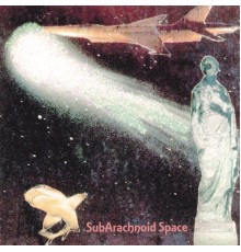 Subarachnoid Space - Ether Or