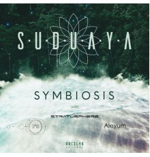 Suduaya - Symbiosis (Original Mix)