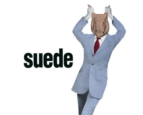 Suede - Animal Nitrate