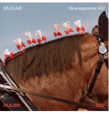 Sugar - Horsepower