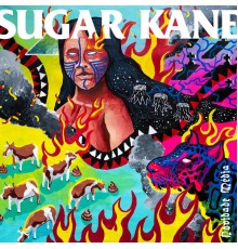 Sugar Kane - Novidade Média