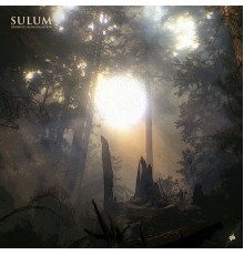 Sulum - Desperate Reincarnation